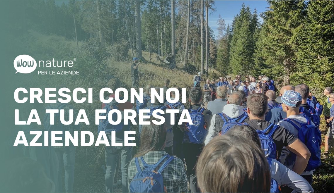 Foresta aziendale con WOWnature