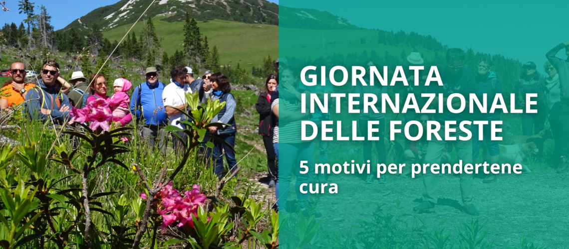 GIORNATA INTERNAZIONALE DELLE FORESTE