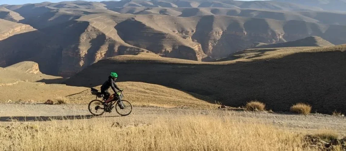 cycling for trees