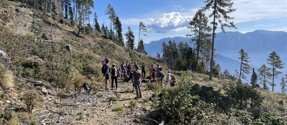 Impianto di nuovi alberi WOWnature Panarotta - 30.09.20239