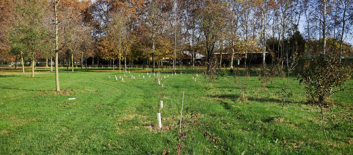 Parco-Nord-Milano_19