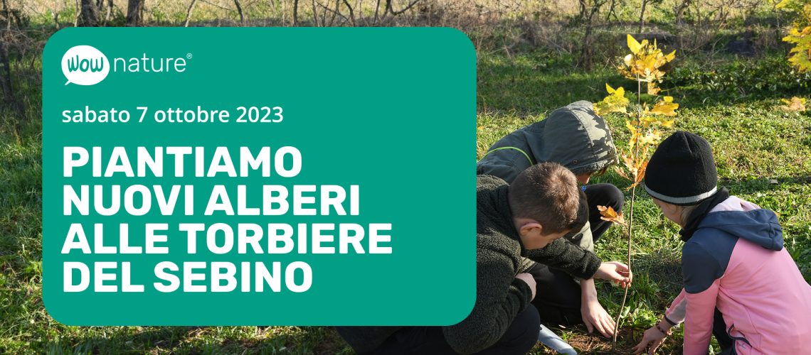 Pianta un albero alle Torbiere del Sebino con WOWnature_7 ottobre