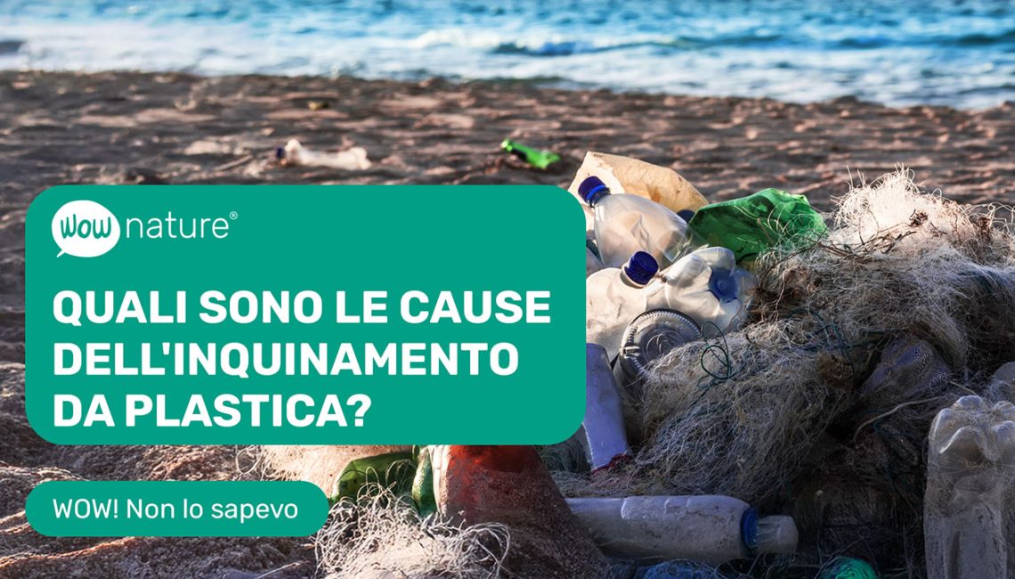 Inquinamento da plastica