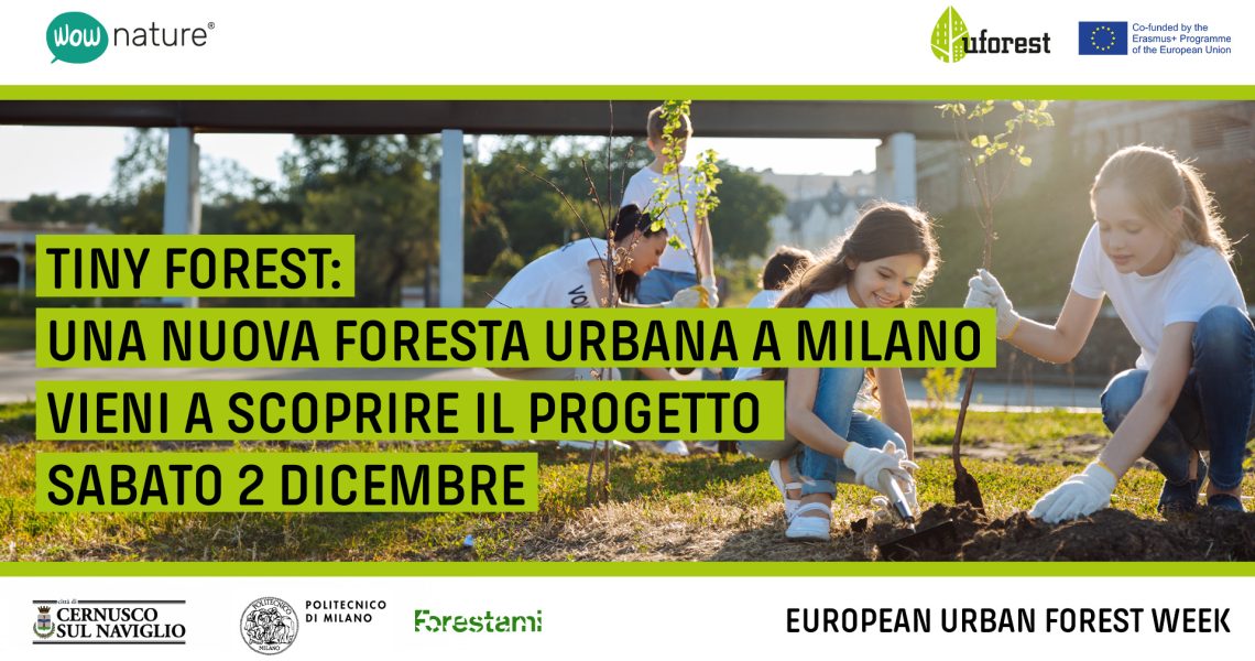 UFOREST_Events_milano