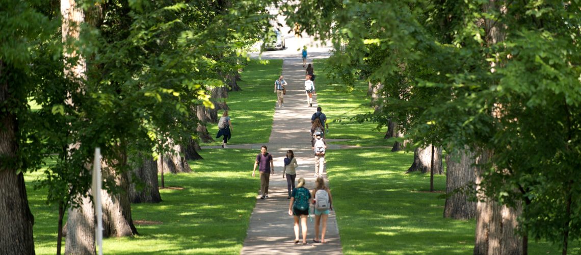Uforest – foreste urbane in Europa Foresta urbana con persone che camminano