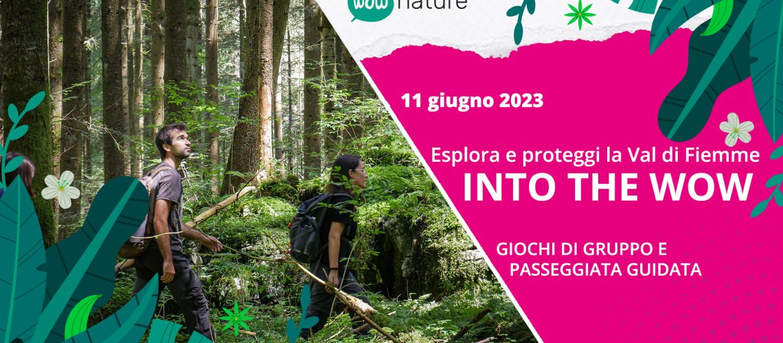 WOWnature proteggi le foreste della val di fiemme evento 11 giugno WOWnature proteggi le foreste della val di fiemme evento 11 giugno