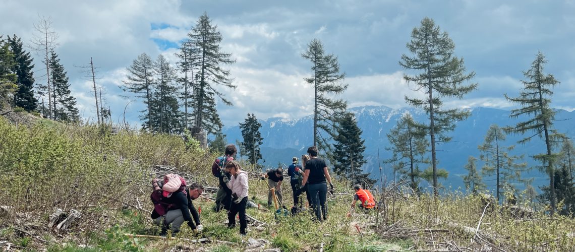 WOWnature_Bosco-della-Panarotta-24.05.18-39.jpg