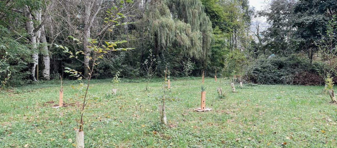 WOWnature_Le Basse 05.10.24-7