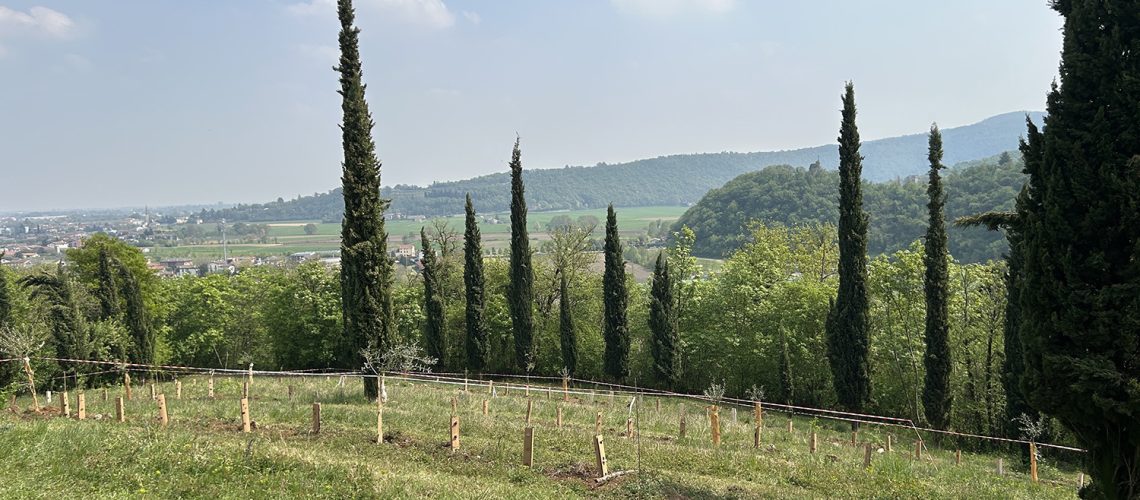WOWnature_Mezzaluna-della-Biodiversita_12-4-25_20.jpg WOWnature_Mezzaluna-della-Biodiversita_12-4-25_20.jpg
