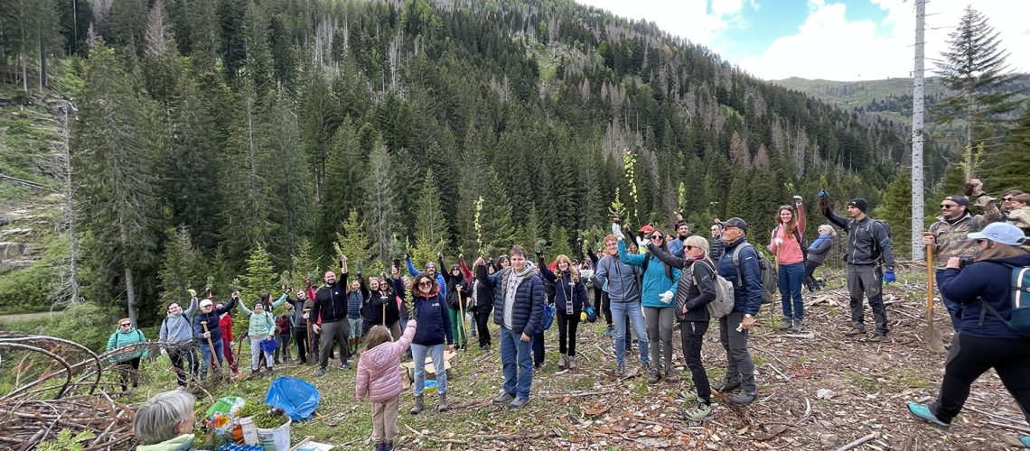 Evento di impianto di nuovi alberi con WOWnature in Val di Fiemme