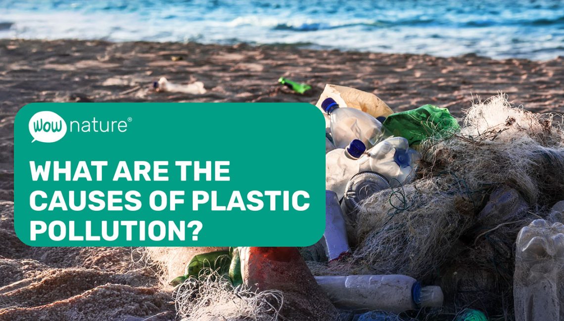 What are the causes of plastic pollution? Plastic Pollution