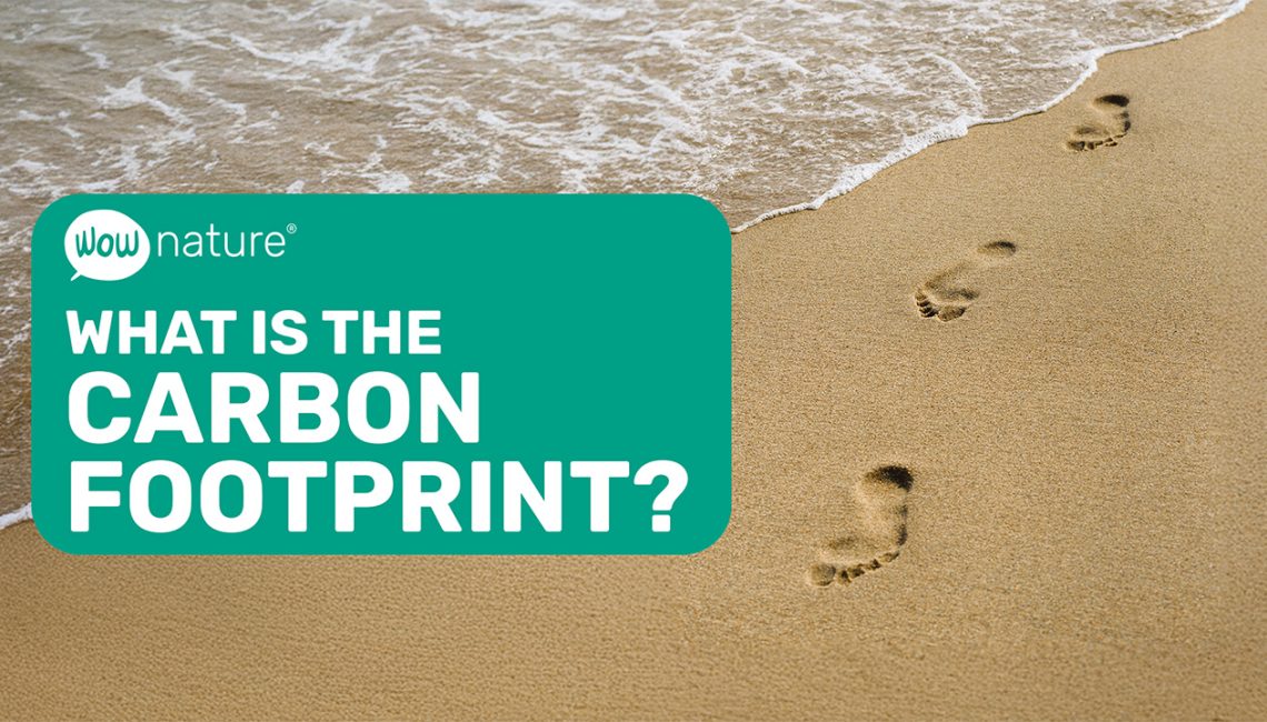 What is the Carbon Footprint What is the Carbon Footprint