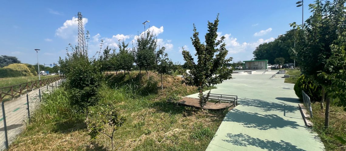 Zucka Skatepark_WOWnature