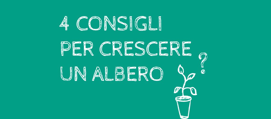 come piantare albero come piantare albero