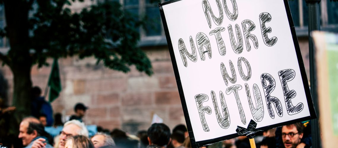 Immagine No nature no future