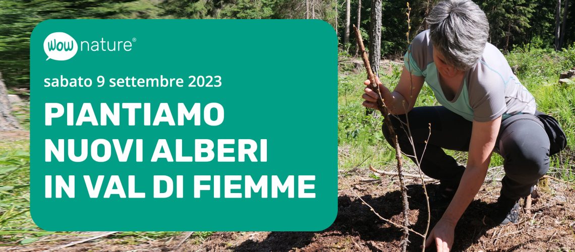 riforestiamo la val di fiemme con WOWnature_9settembre