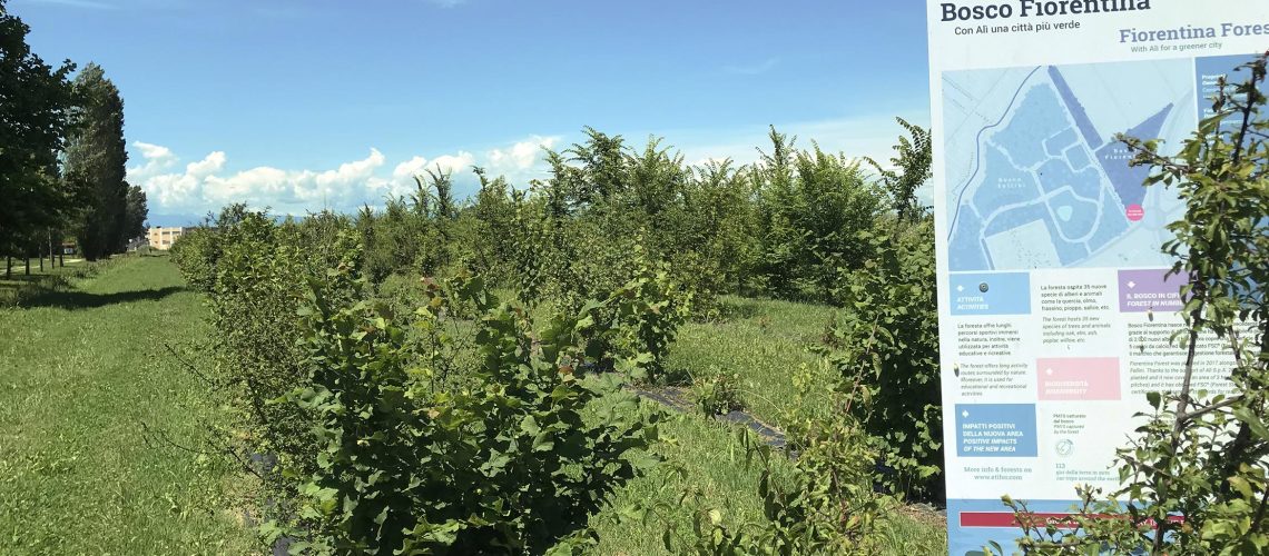 Bosco Fiorentina WOWnature