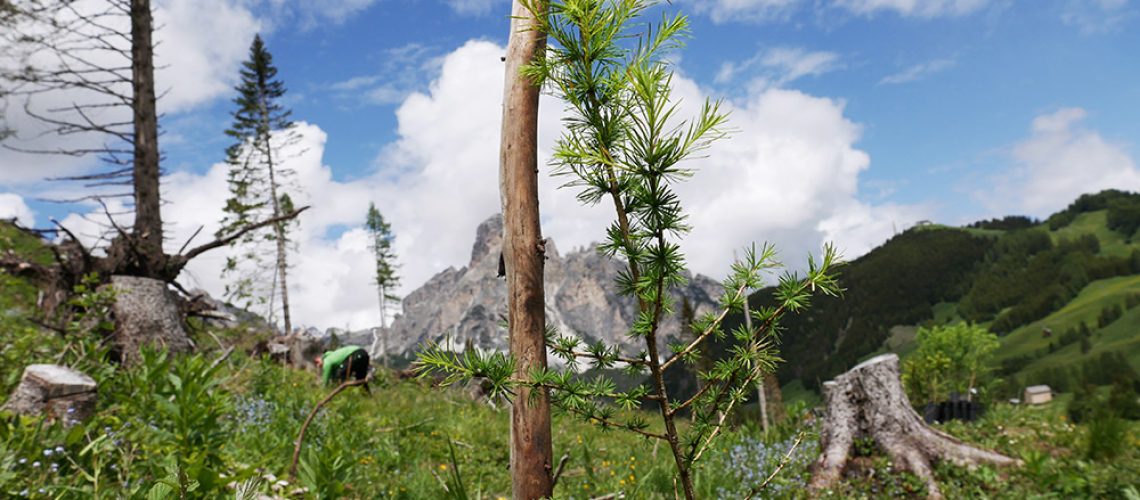 wownature-alta-badia-corvara-09