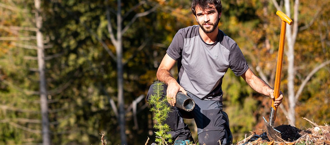 How we plant in the mountains - WOWnature