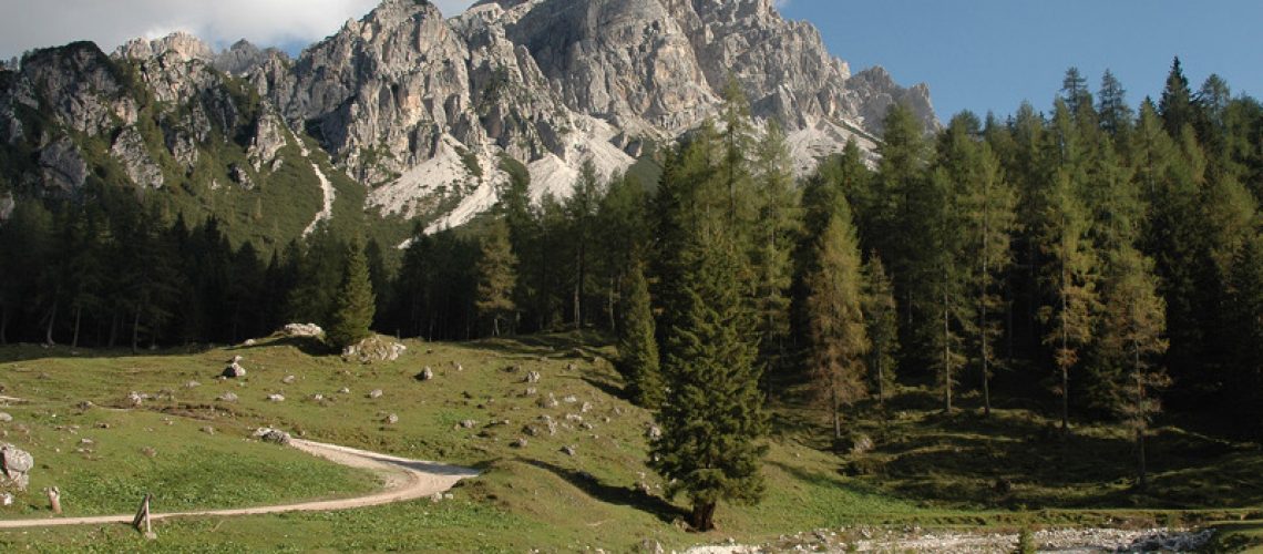 wownature-parchi-naturali-dolomiti-bellunesi